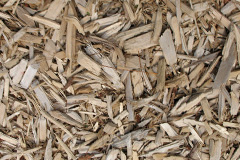 biomass boilers Thoroton